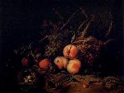 Rachel Ruysch Still-Life with Fruit and Insects Sweden oil painting artist